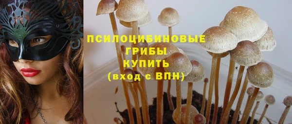 PSILOCYBIN Баксан