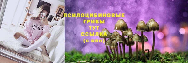 PSILOCYBIN Баксан